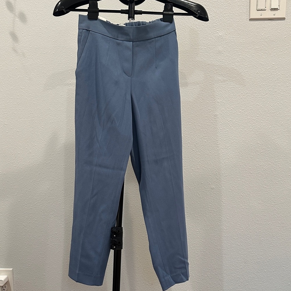 Aritzia Babaton pants